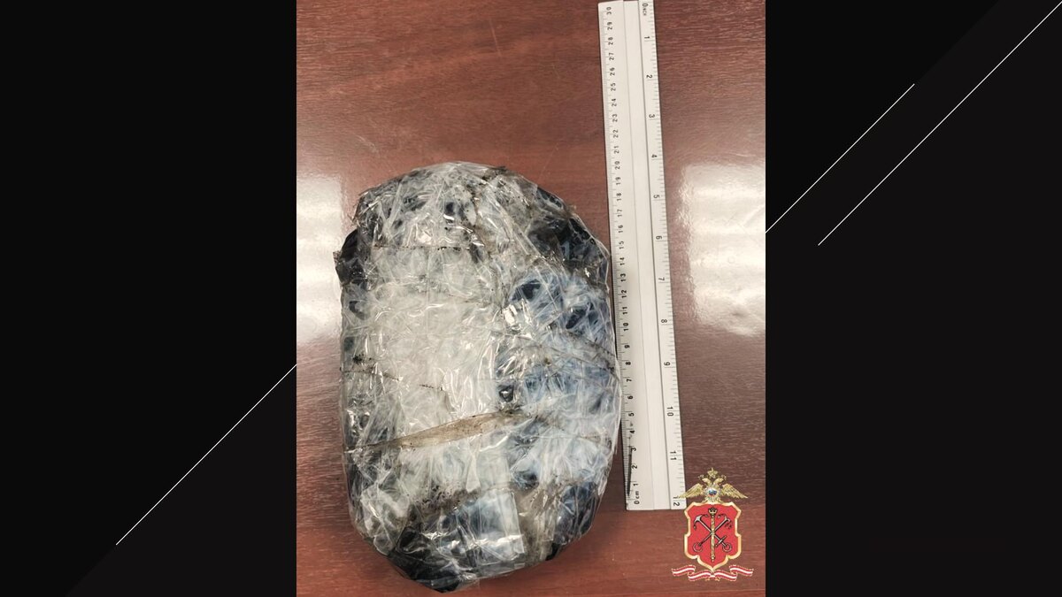    Фото: Петербургская Полиция