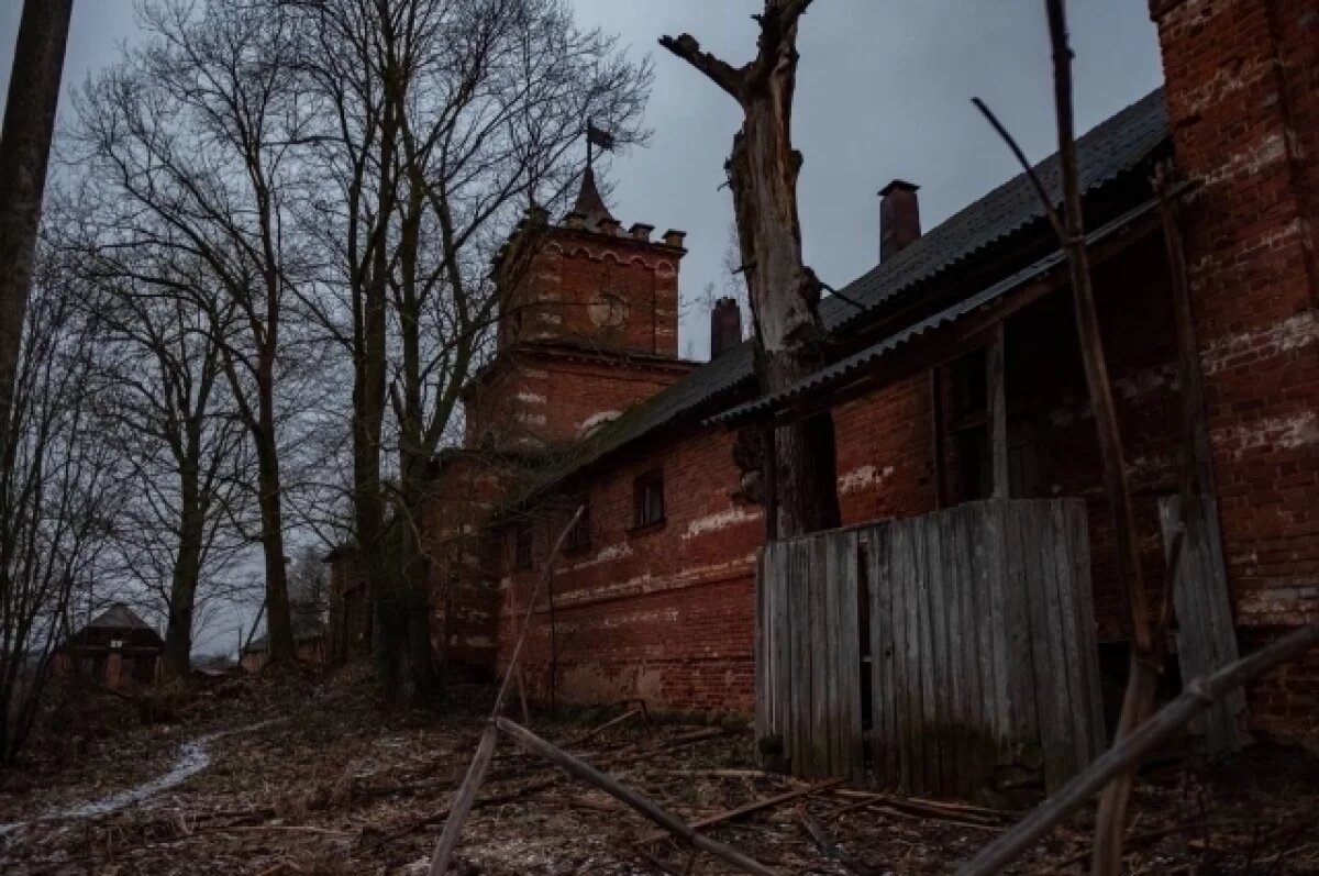    В усадьбе Волышово восстановят историческую аллею