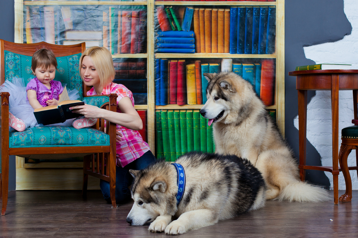 фото К. Ивановой, г. Санкт-Петербург