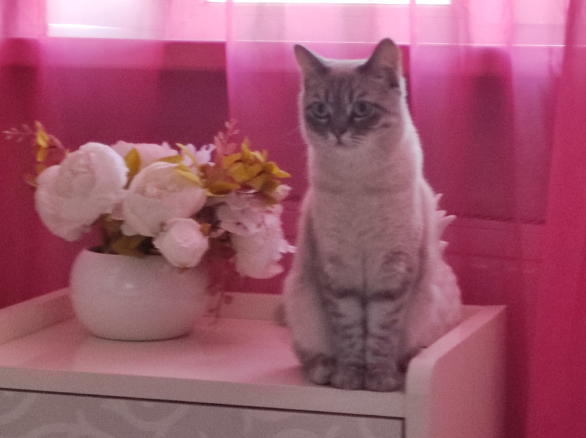 Сидит моя статуэточка!