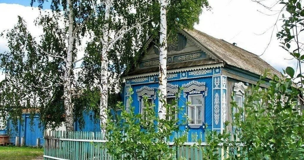 Почему из берёзы не строят дома, хотя это самая доступная древесина