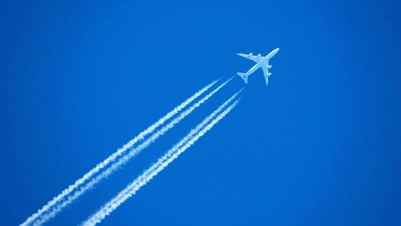    Фото: Dmitrijs Mihejevs/Shutterstock/Fotodom