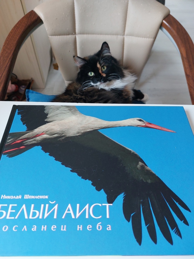 Марта рекомендует