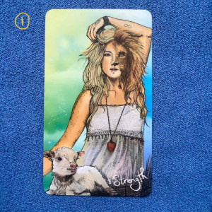 1. Сила
Карта Сила - свидетельство того, что до сих пор вы шли верным путем, а сейчас предстоит испытание умонастроений и проверка на прочность. Даже если кажется, что ничего не получится, и вы погрязли в сомнениях и самобичевании, то карта указывает на то, что у вас  есть силы сделать все необходимое и справиться с задачей, причем достаточно легко и уверенно. Главное - ни секунды не сомневаться в своей способности сделать это. Нужно действовать мягко, ненавязчиво, проявляя "мягкую силу", особенное, если дело касается других людей, которых нужно в чем-то убедить. Терпение, только терпение! Напролом фактами в лоб такие вещи  без конфликтов не решатся. А если подвести к мысли осторожно, обходными путями, убедив оппонента в том, что это его личное решение, даже если в процессе захочется дать ему в лобешник, то победа обеспечена. Внимательное осознание будет сейчас гораздо полезнее, чем жесткий контроль. И не забывайте твердо стоять на своих убеждениях и желаниях. А то если вы сами не понимаете, что хотите, как можно убедить других к вам прислушаться и помочь?
