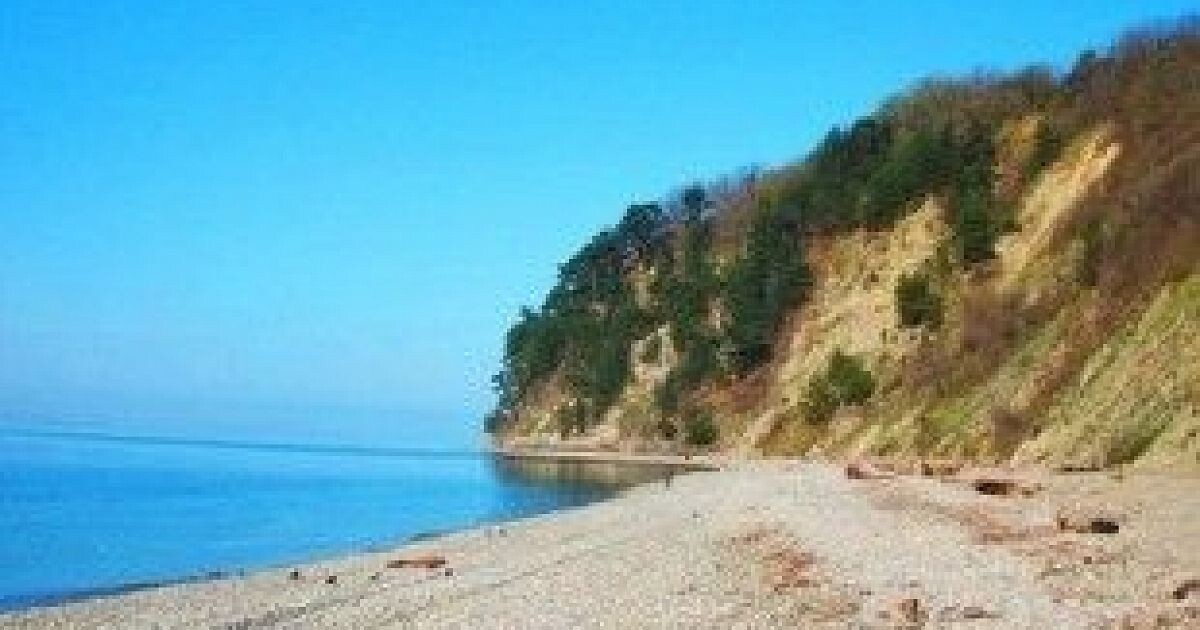 из моих воспоминаний