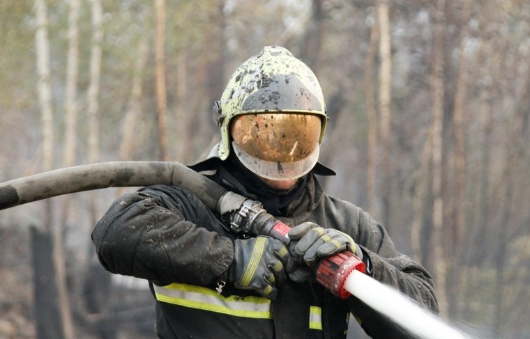    Денис Бочаров/NEWS.ru