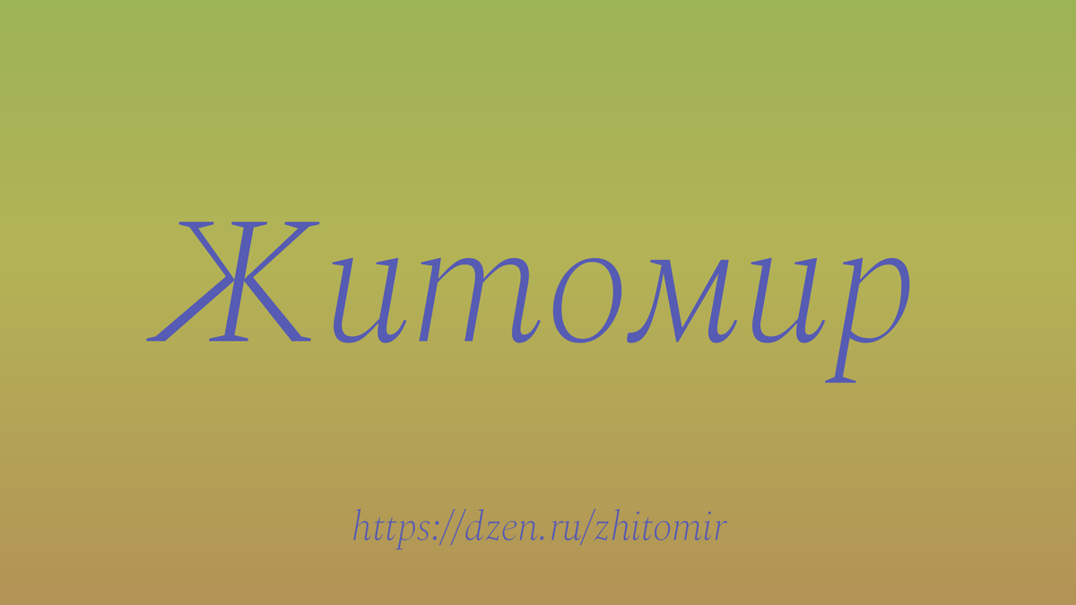Как изменится уровень жизни в Житомире, если будет развиваться цифровизация?