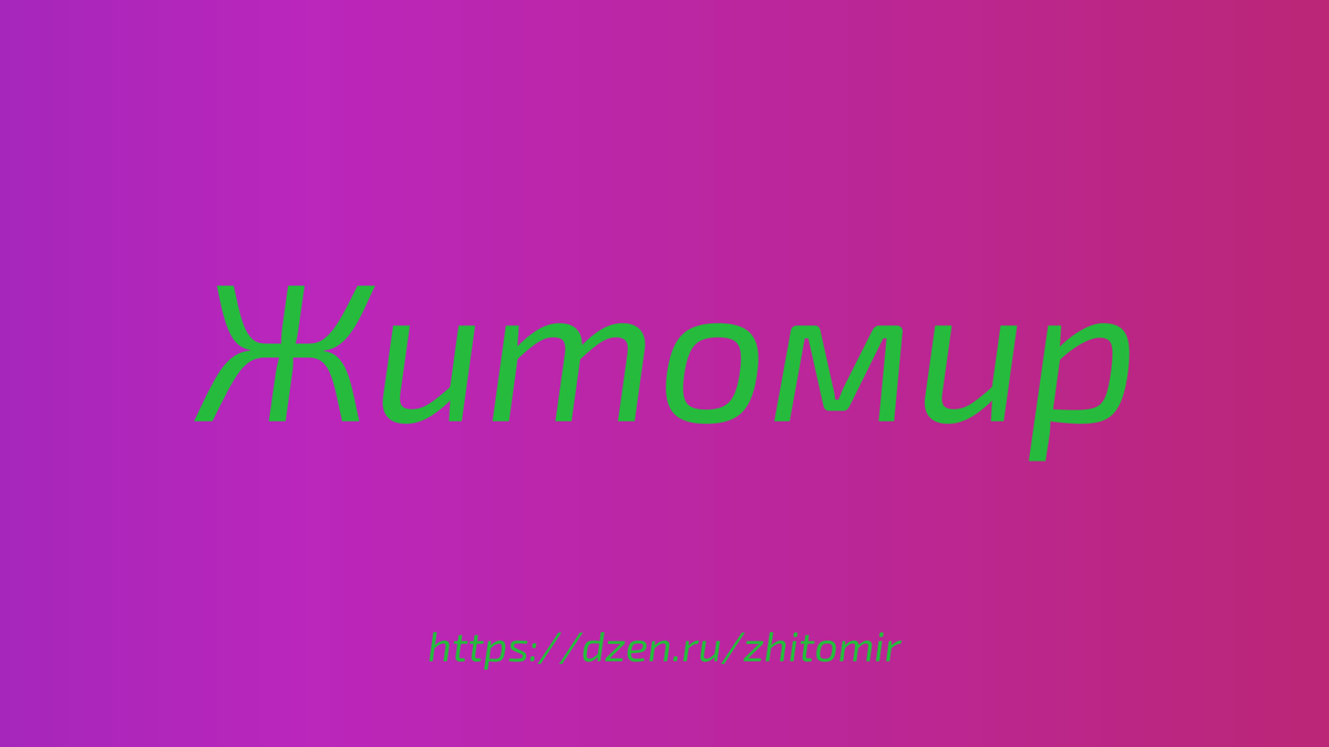 Как изменится экономика Житомира, если ввести налоговые льготы для инвесторов?