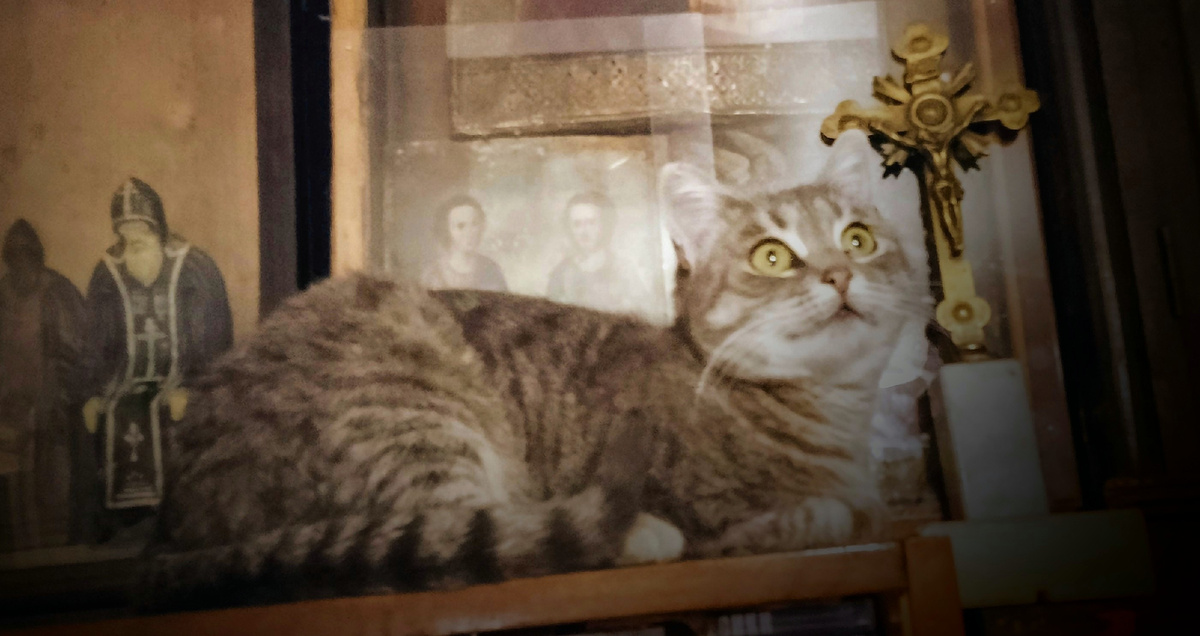 Милана у домашних икон