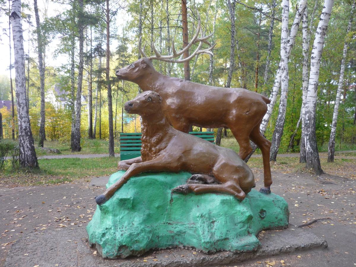 Фото Автора. Олени в детском парке.
