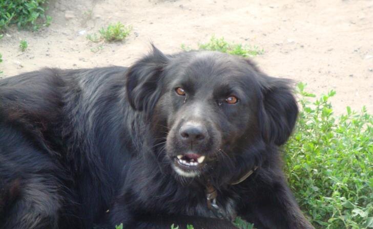    Фото "Курских известий"