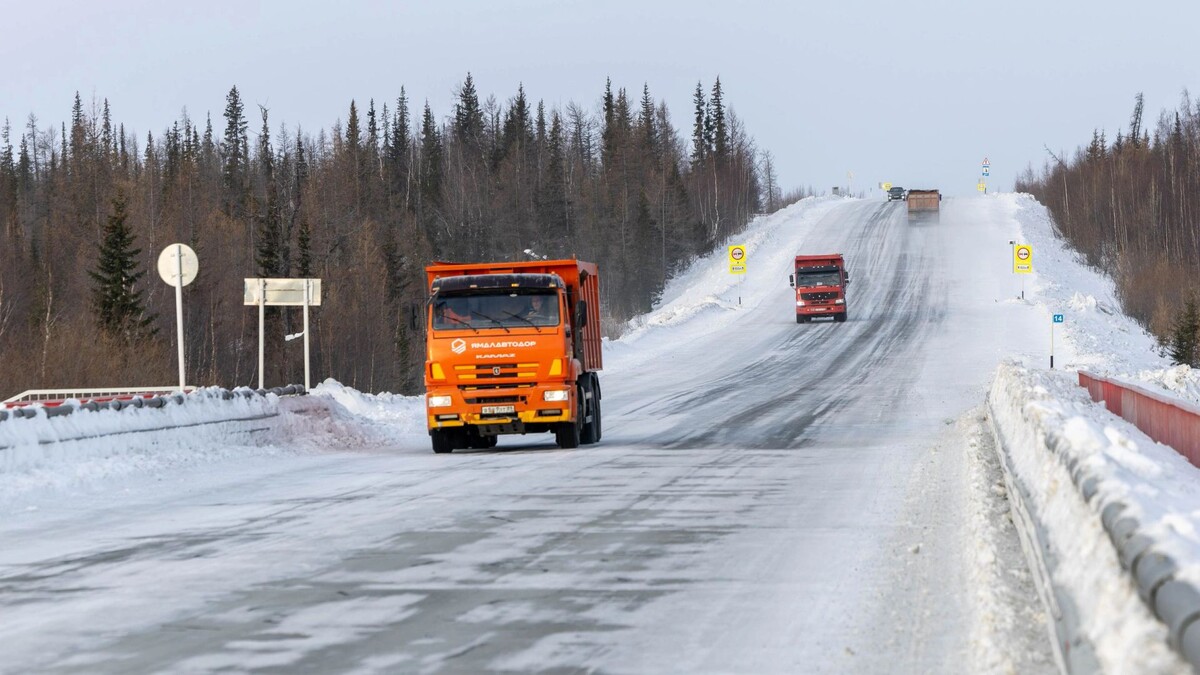    Фото: Александр Чирва/«Ямал-Медиа»