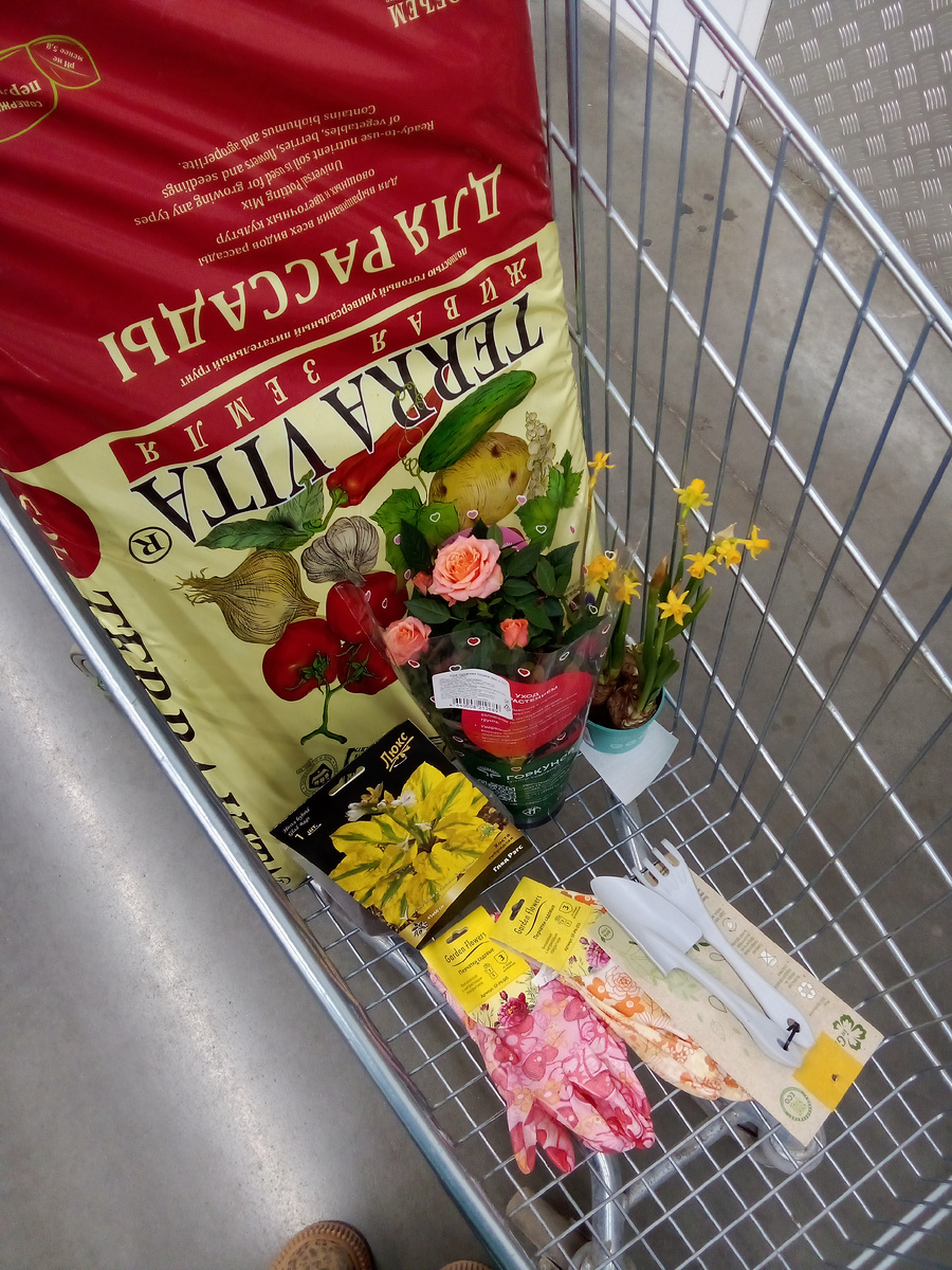 В статье все фото авторские