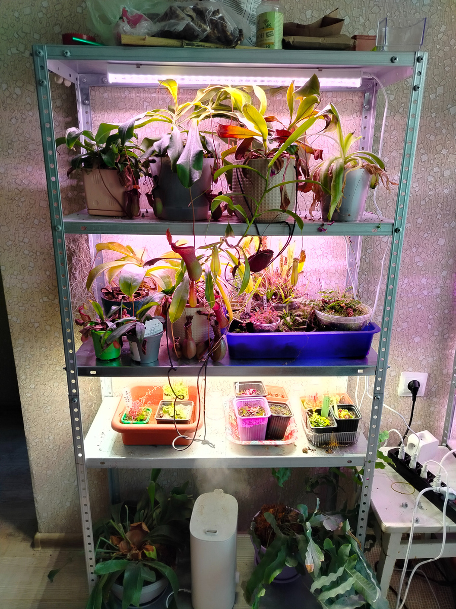 Так мои хищники проводят зиму