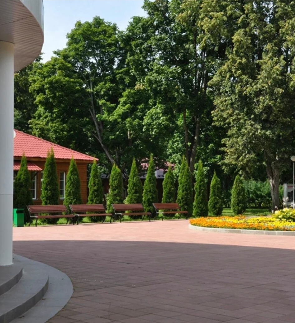 Фото из открытых источников интернета 