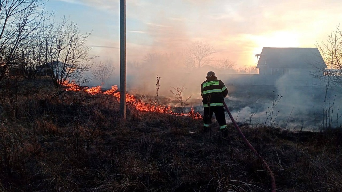 Фото: Пресс-служба администрации Краснодара