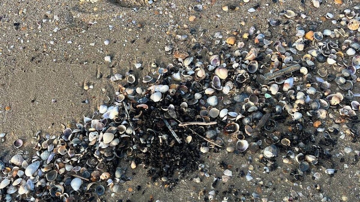    Фото: оперативный штаб Краснодарского края