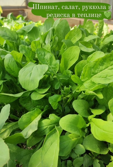 личное фото