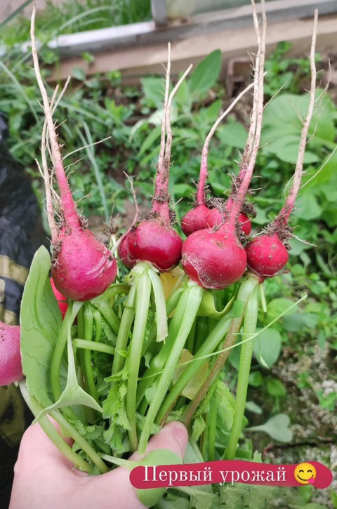 личное фото - прошлый год