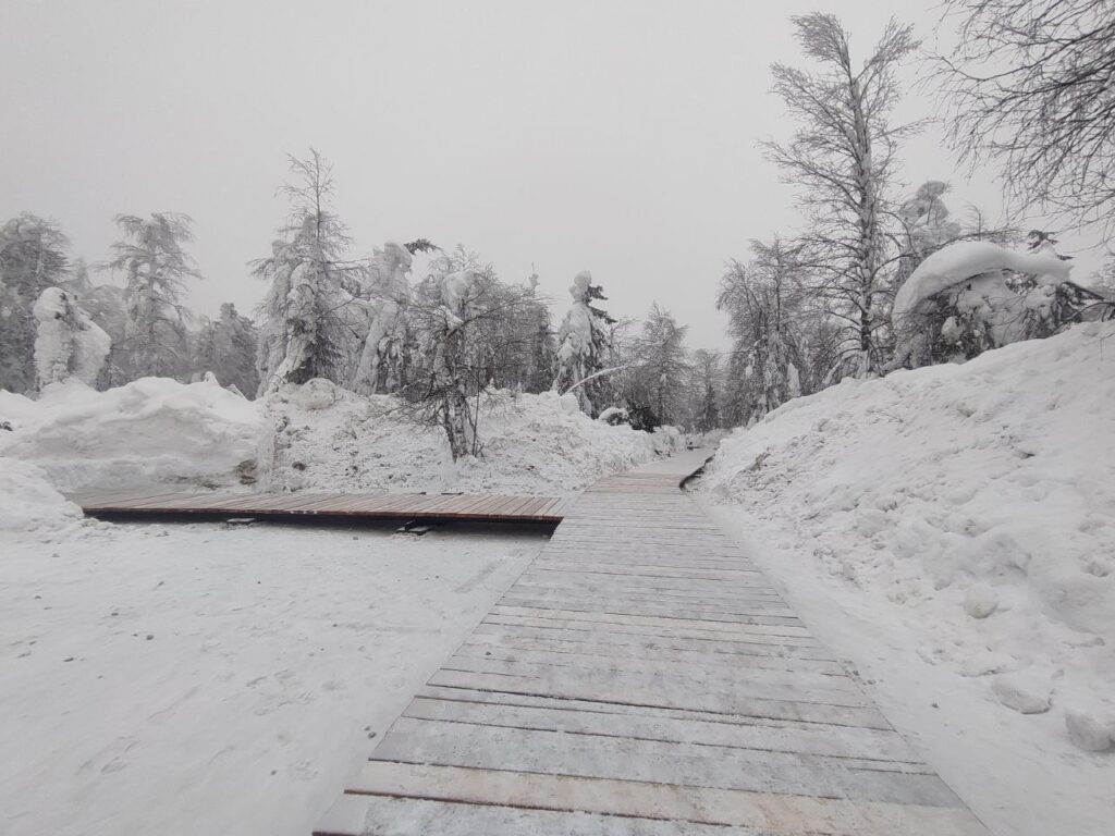    Фото: Министерство по туризму Прикамья/VK Ульяна Бажанова