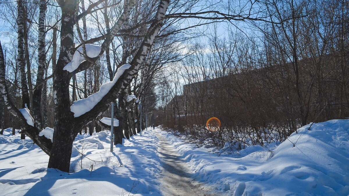     Источник: 1MI