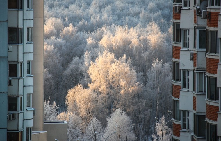    Сергей Лантюхов/NEWS.ru