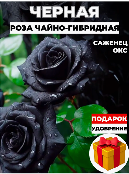 скрин с wildberries