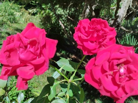 Фотография из личного архива автора