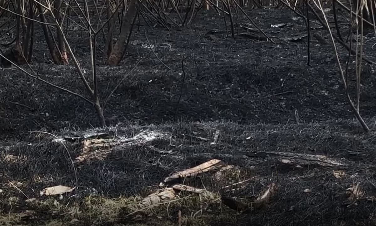    Фото «Кубань 24»