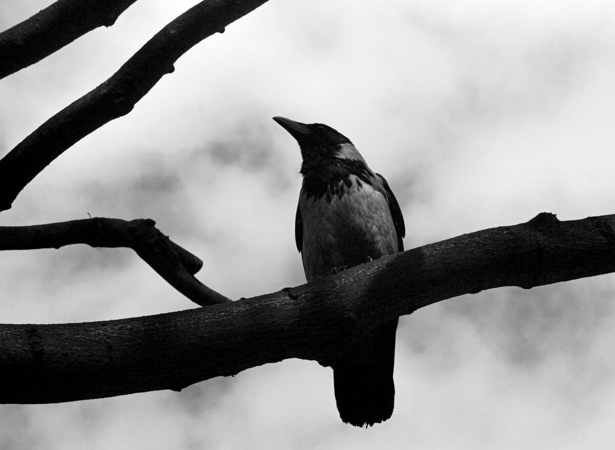 Все фото авторские. 