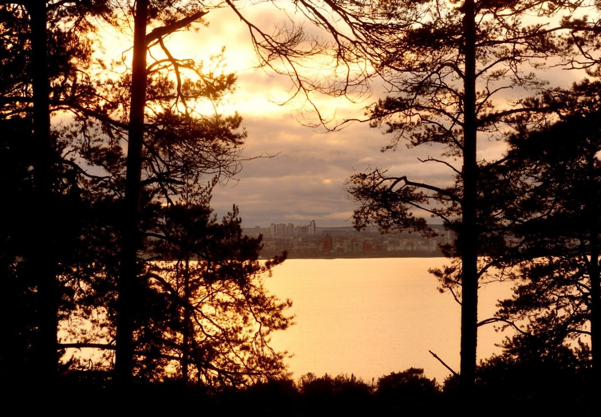 Все фото авторские. 