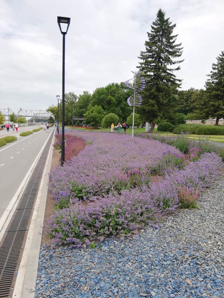 Фото не из нашего города