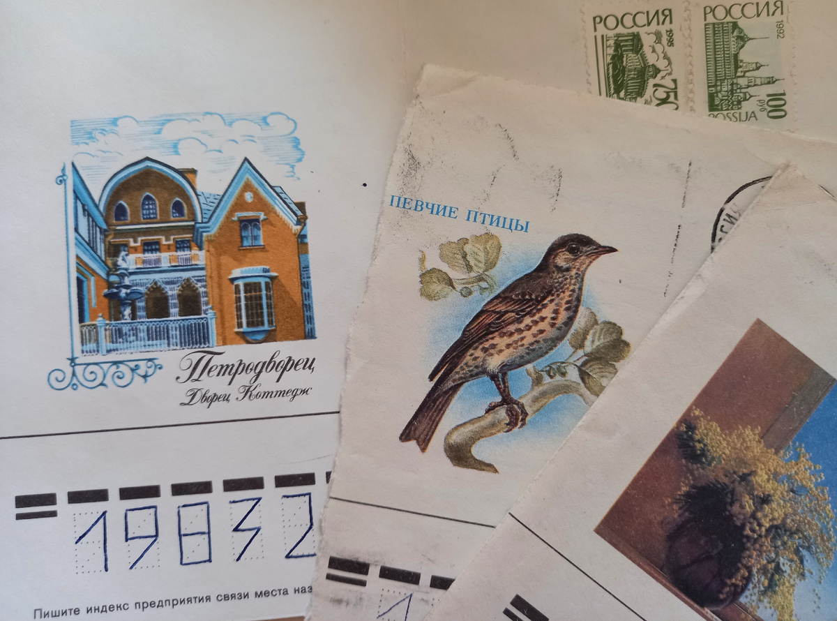 Фото автора.