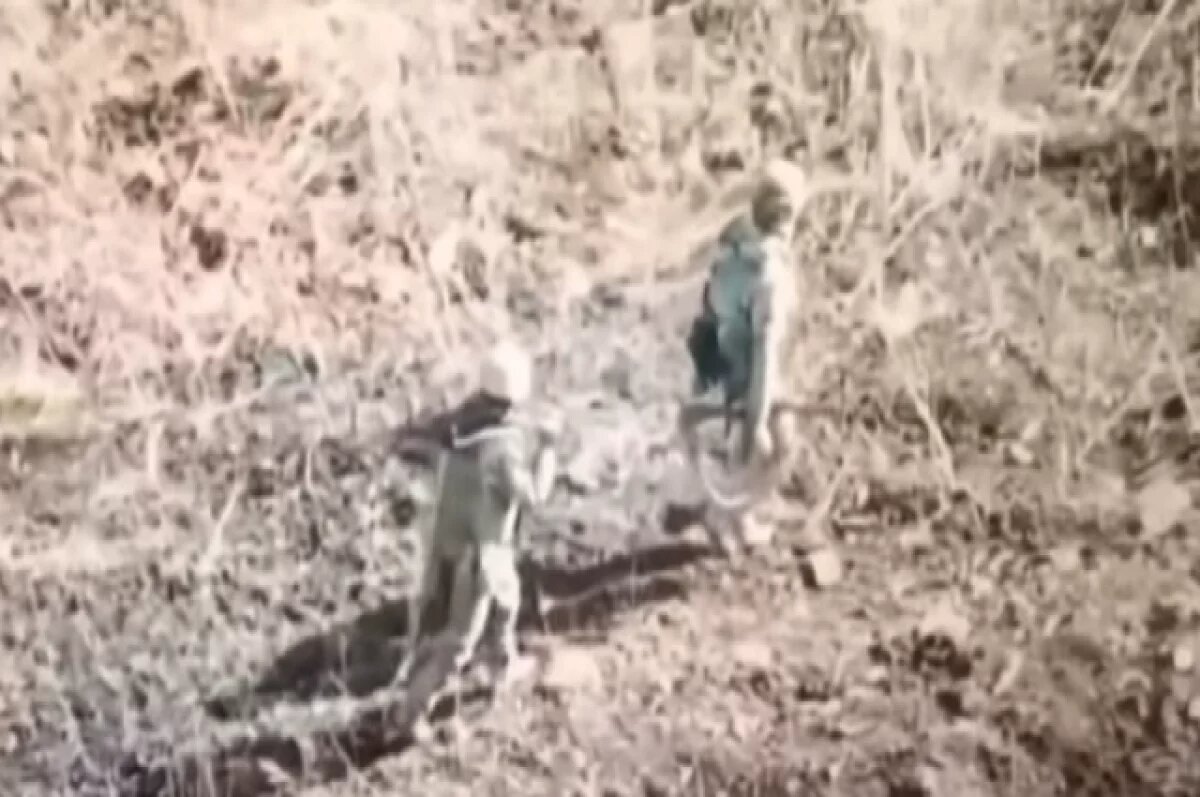    Дандыкин: в котлах под Курском может оставаться порядка тысячи боевиков ВСУ