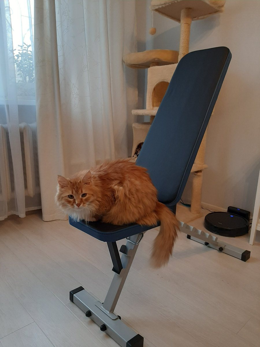 Тренируйся, бабка, тренируйся, Любка. (А мы понаблюдаем пока).