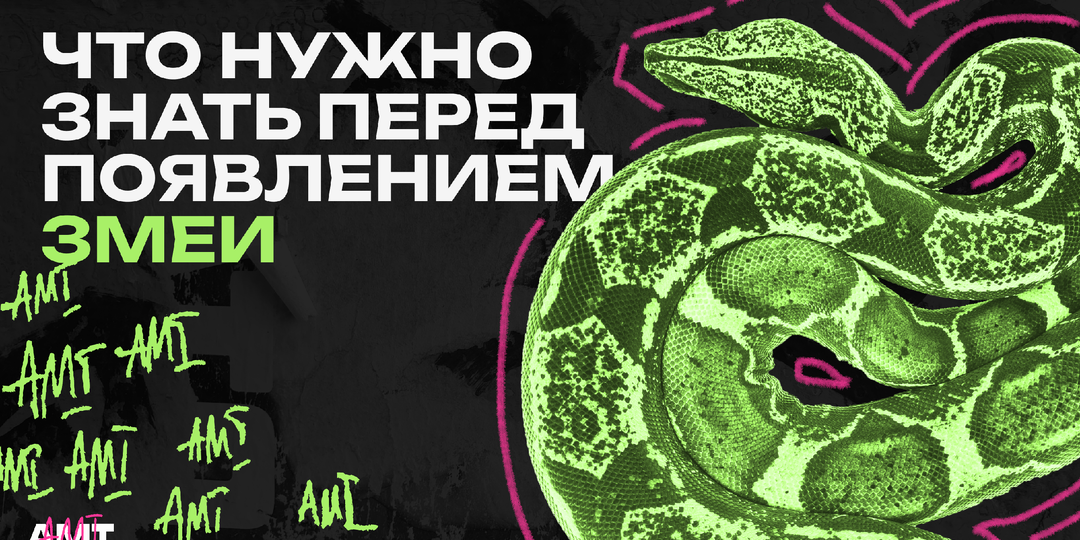 Как подготовиться к появлению змеи в доме?