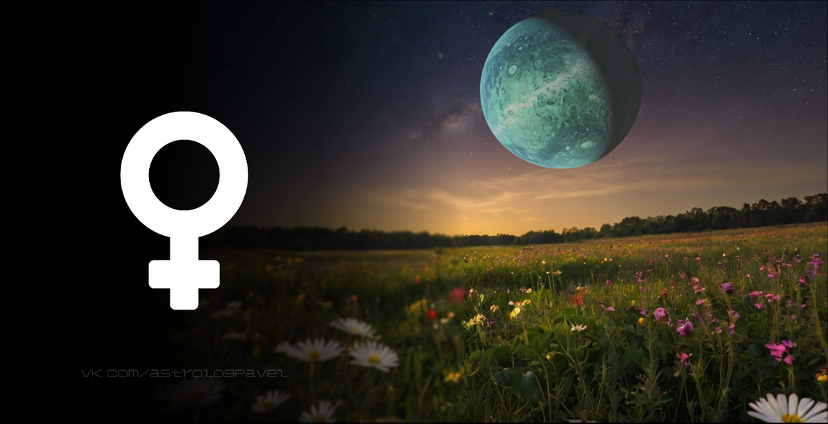 Венера натальной карте женщины