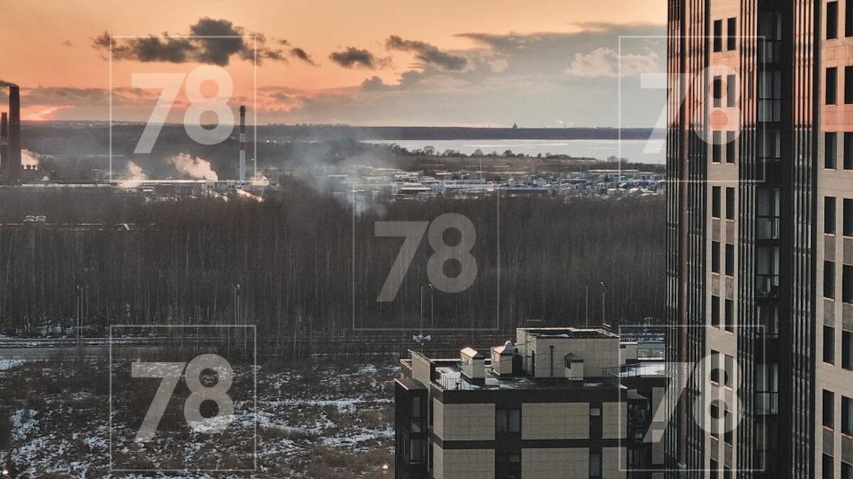    Фото: 78.ru