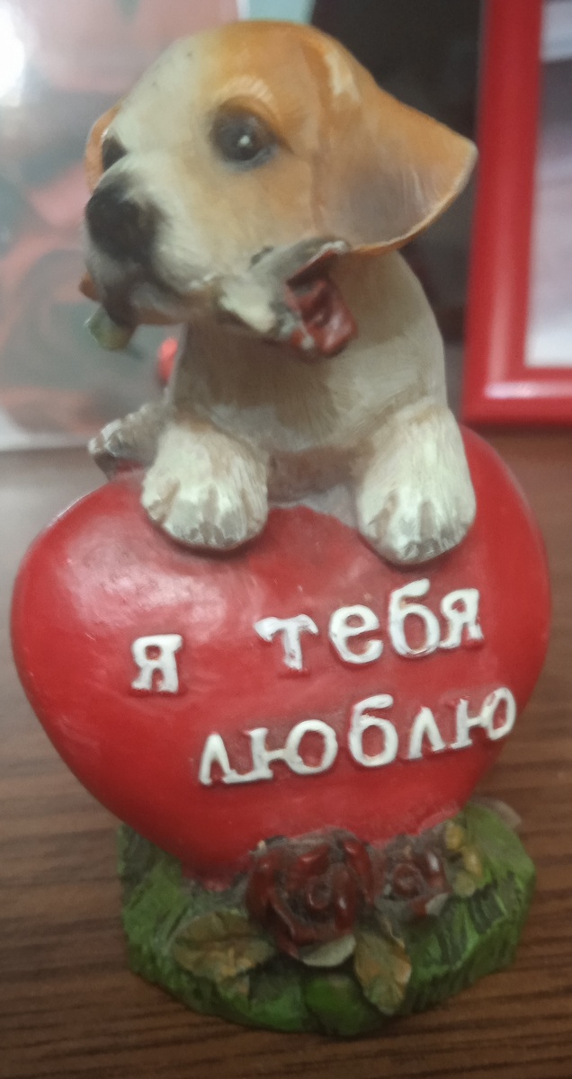 Эту собачку муж подарил когда мы ещё встречались. 