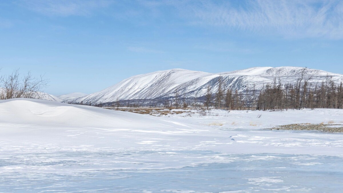    Фото: Федор Воронов/«Ямал-Медиа»