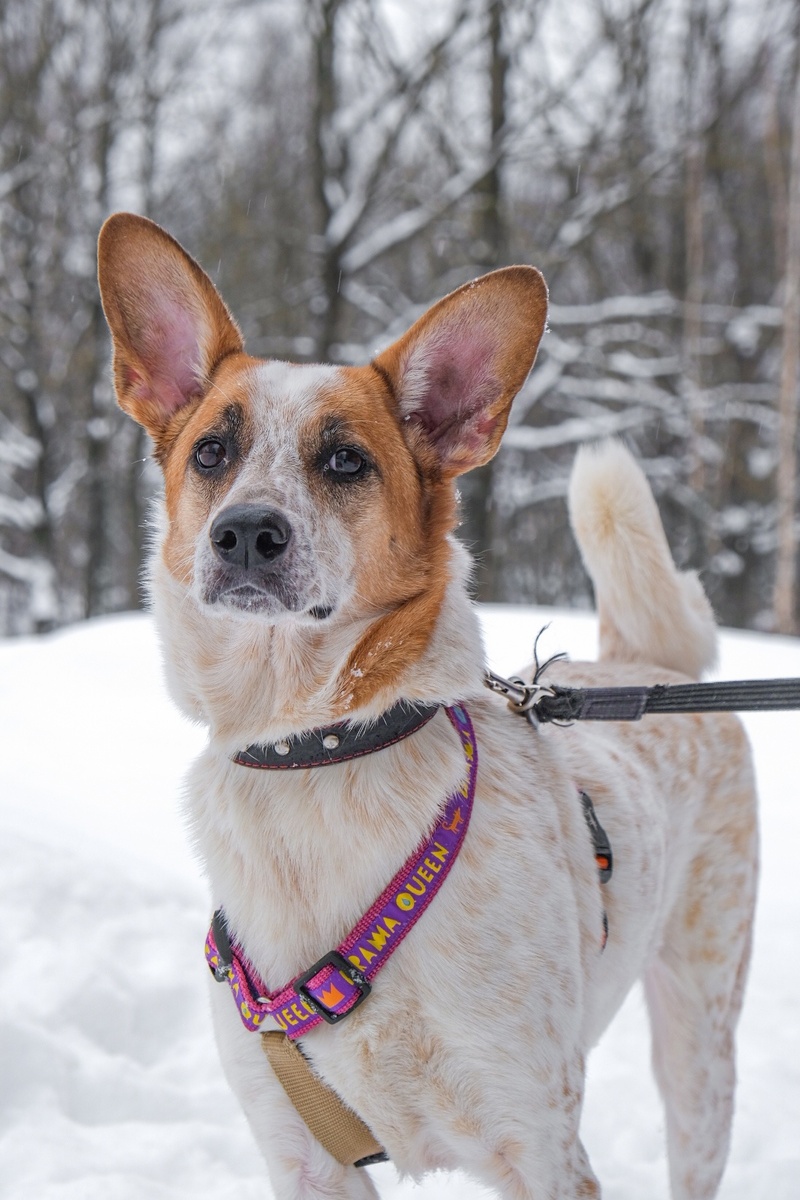 Уже не на сугробе, а в Зооцентре