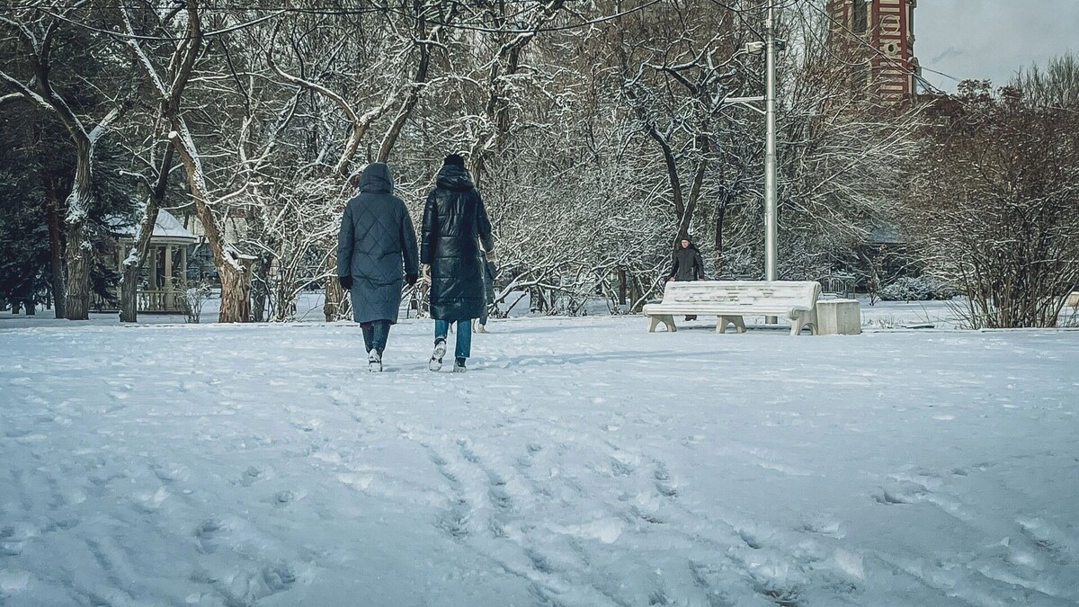     Источник: 1MI