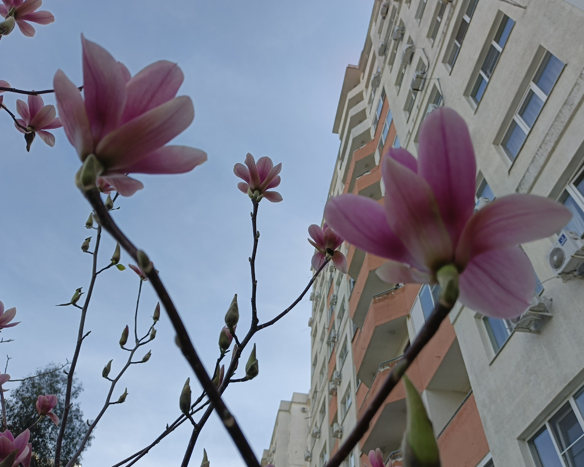 Адлер, мр. Веселое, ЖК "Летняя резиденция" март 2025 г..