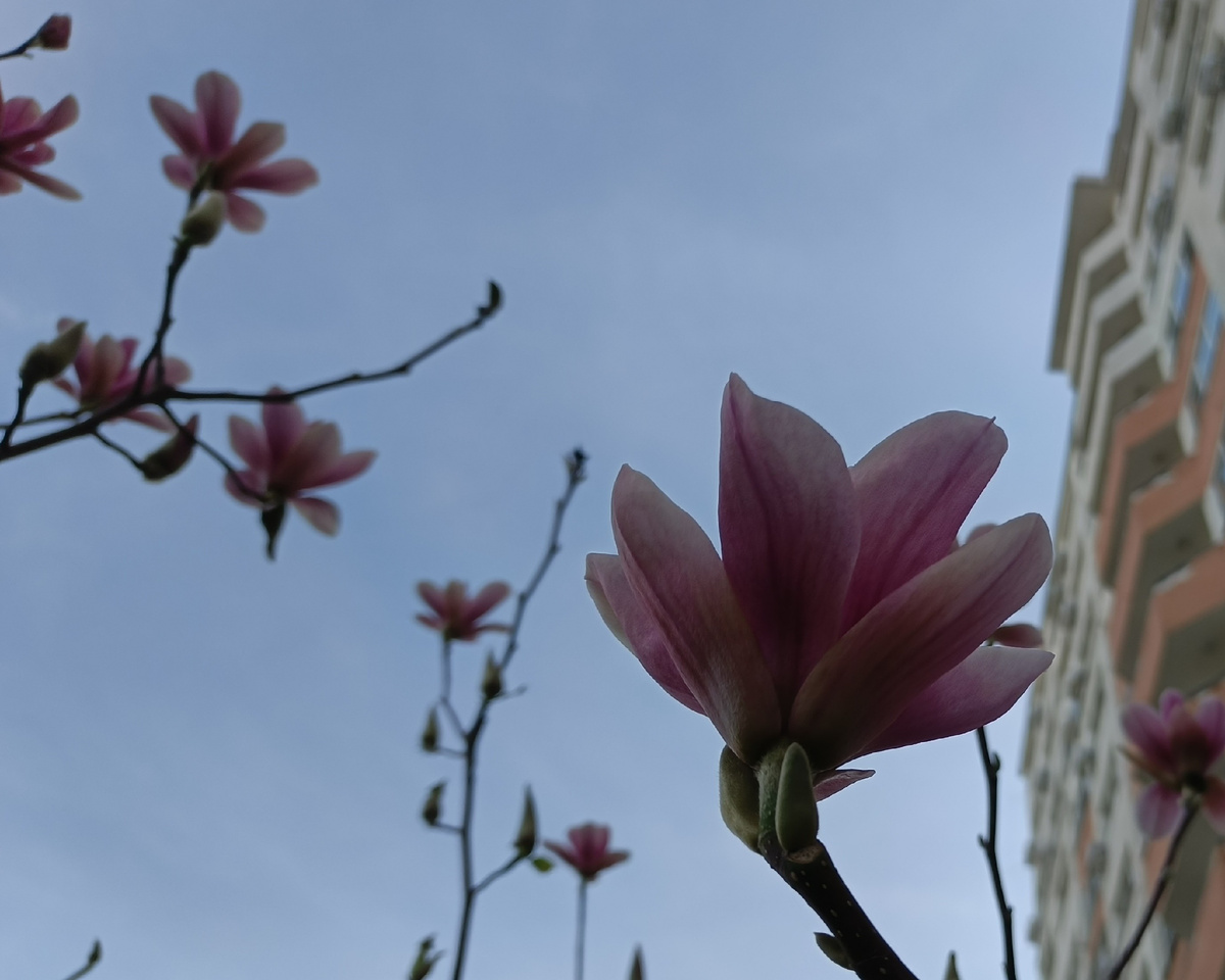 Адлер, мр. Веселое, ЖК "Летняя резиденция" март 2025 г.