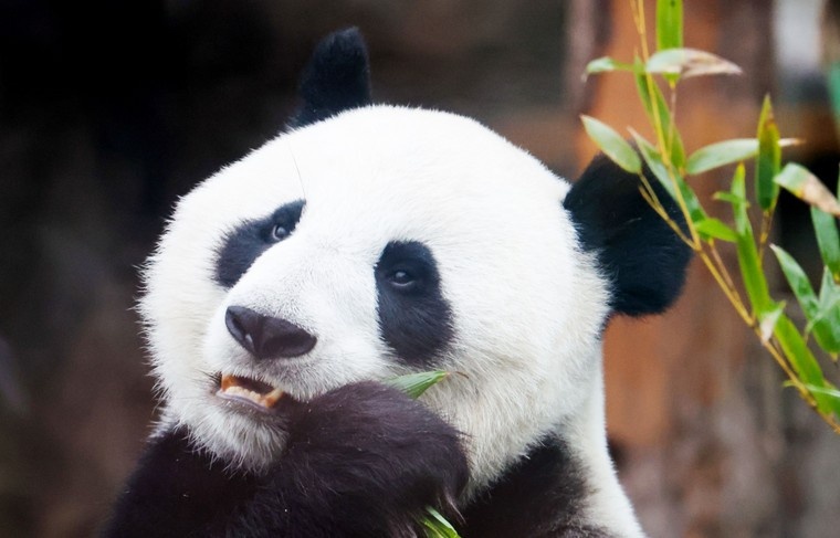    Алексей Белкин/NEWS.ru