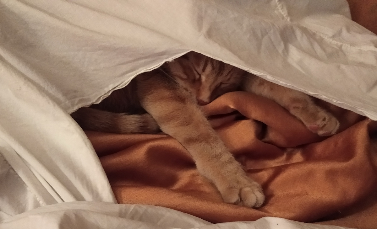 личное  фото