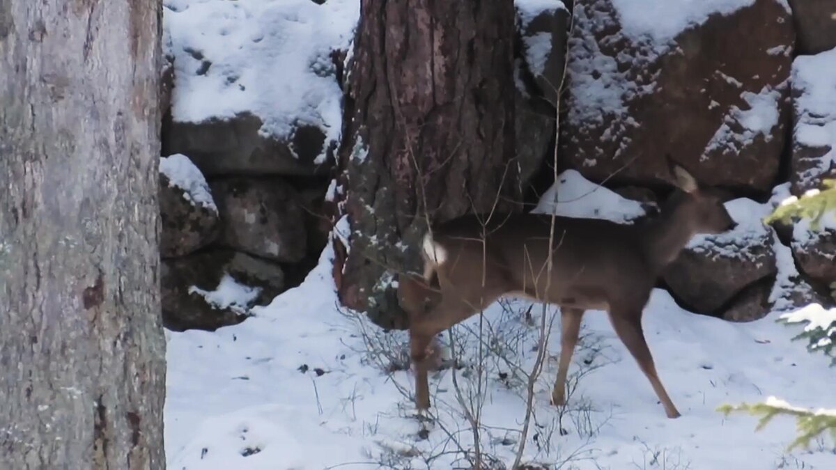    Фото: Админка Ленобласти