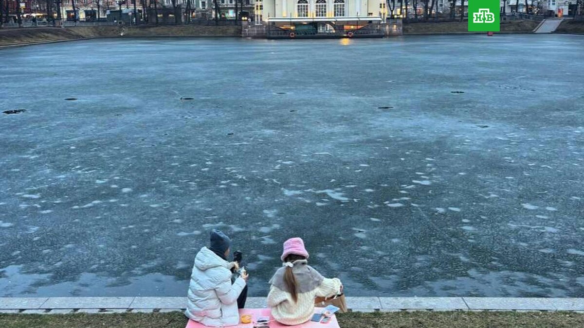    Фото: @mosnews / t.me