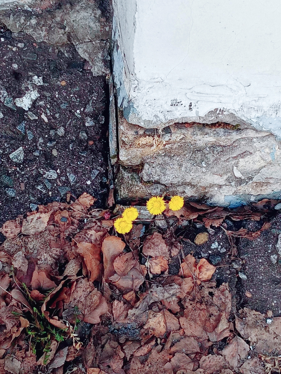 Из старого - новое 