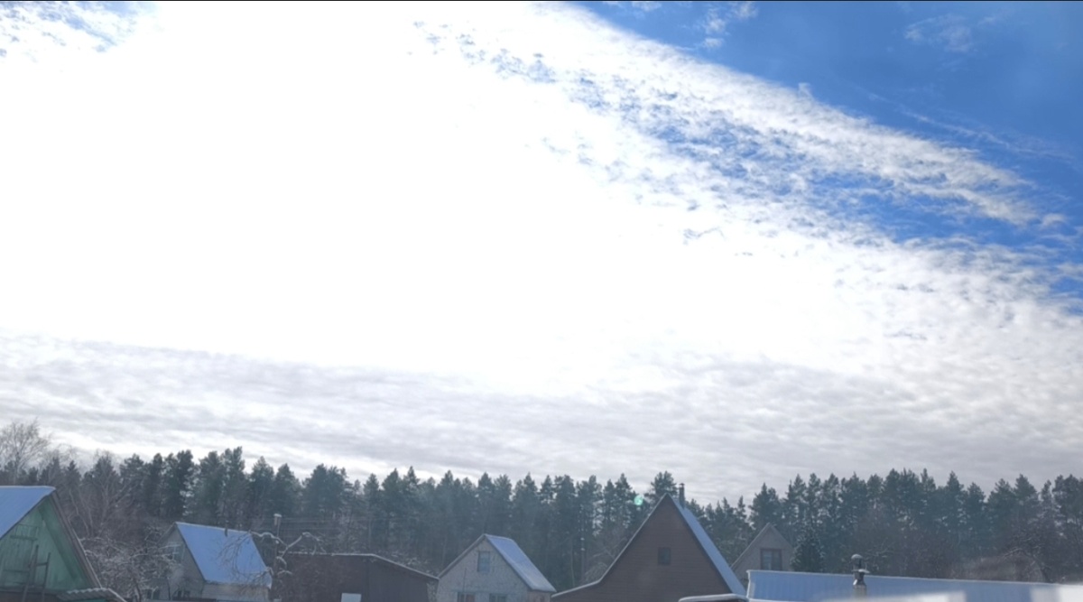 Фото автора. На даче.